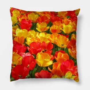 Keukenhof Tulip Festival, Holland Pillow