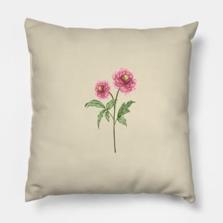 Pink Peony 1 Botanical Pillow