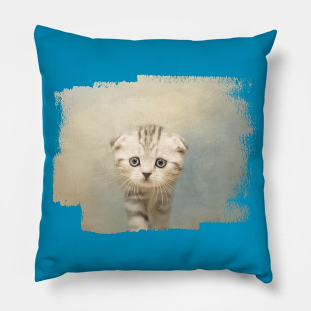 Striped Scottish Fold Kitten Pillow by Elisabeth Lucas