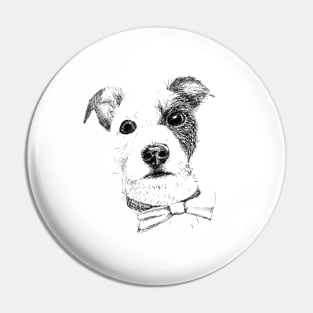 Jack Russell - Bo with a Bow tie Pin