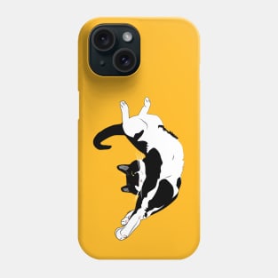 Let Sleeping cats Lie Phone Case