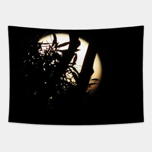 Eclipse Begins Tapestry
