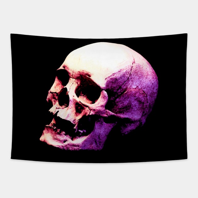 Pink Skull Tapestry by nineshirts