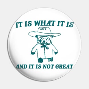 It Is What It Is And It Is Not Great , funny meme bear saying Pin