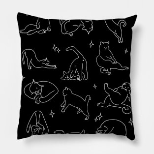 Funny Cats Poses Pillow