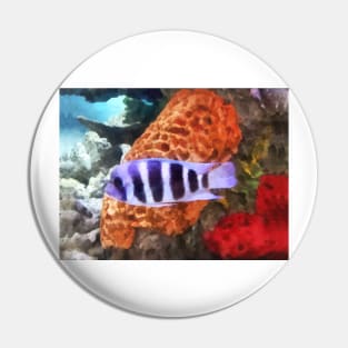 Fish - Striped Tropical Fish Frontosa Pin