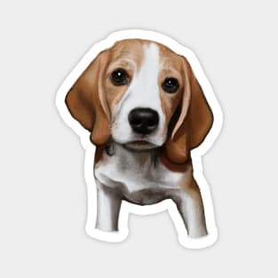 Cute Beagle Drawing Magnet