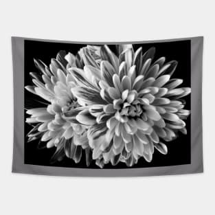 Dahlia in black and white Tapestry