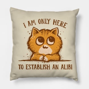 Only here for the Alibi Pillow