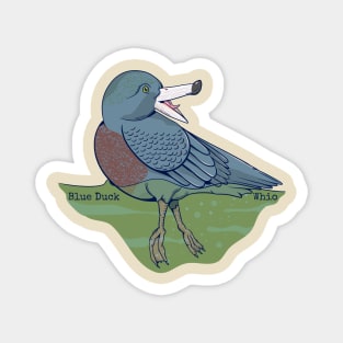 Blue duck whio Magnet