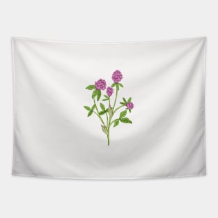 Red Clover Flower Botanical Tapestry