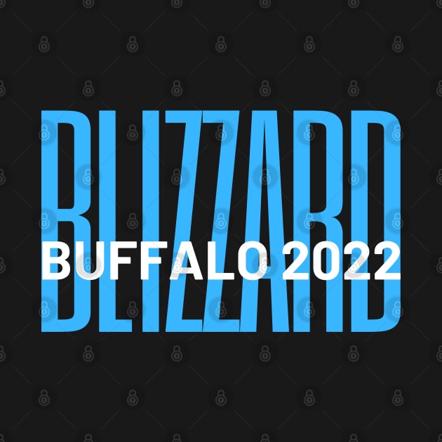 Blizzard - Buffalo 2022 by MtWoodson