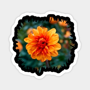 Orange Fire Dahlia Magnet