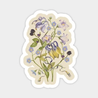 Columbine Flowers Magnet