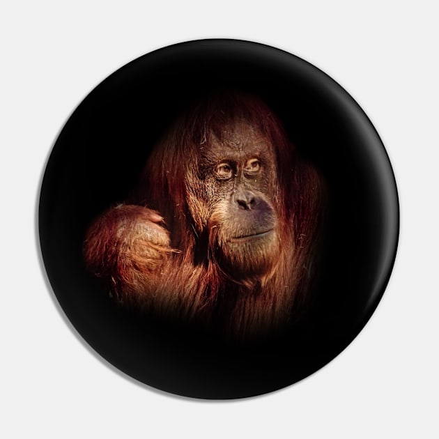 Orangutan Pin by Guardi