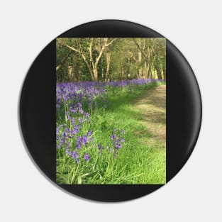 Woodland Bells - Bluebells Chiming in the Surrey Woods Pin