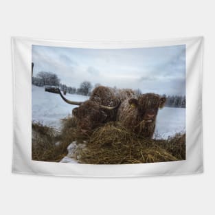 Scottish Highland Cattle Cow and Calf 1880 Tapestry