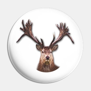 Majestic Reindeer Pin