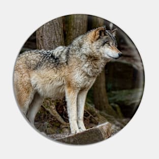 Eastern Gray Wolf Pin