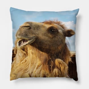 Portrait of Bactrian Camel Pillow