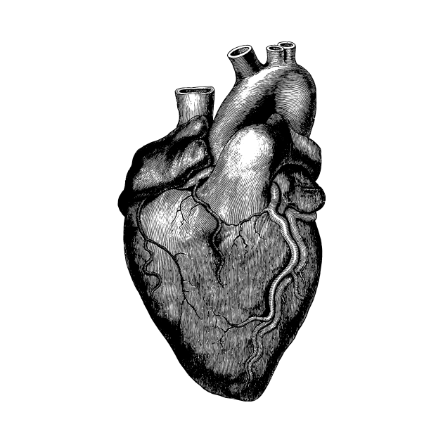 Human heart illustration - Heart - T-Shirt | TeePublic
