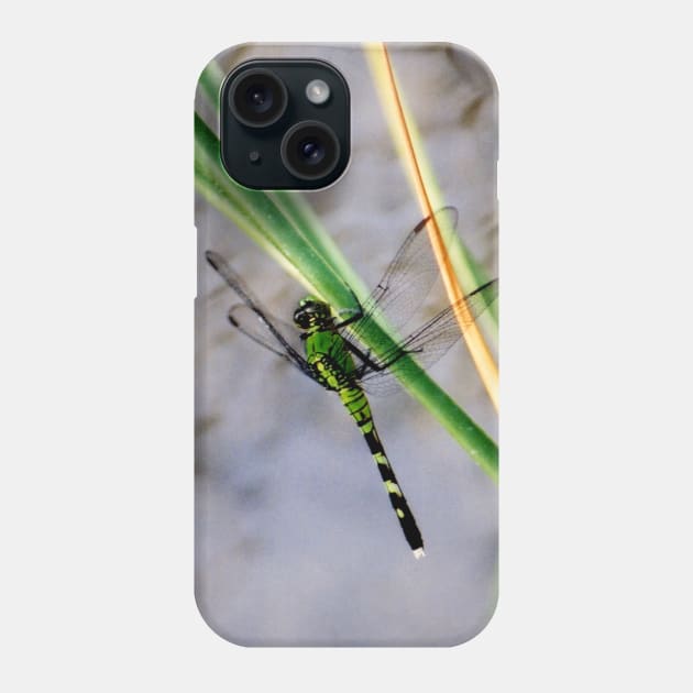 Dragonfly Photograph Phone Case by Bravuramedia