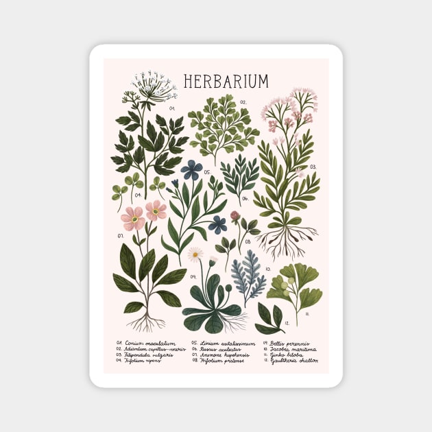 Herbarium Bright Magnet by Iz Ptica