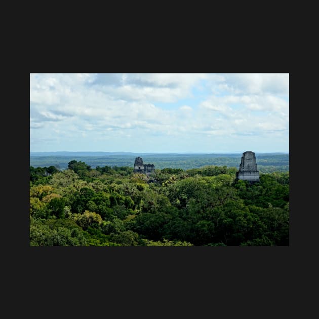 Guatemala - site archéologique de Tikal by franck380