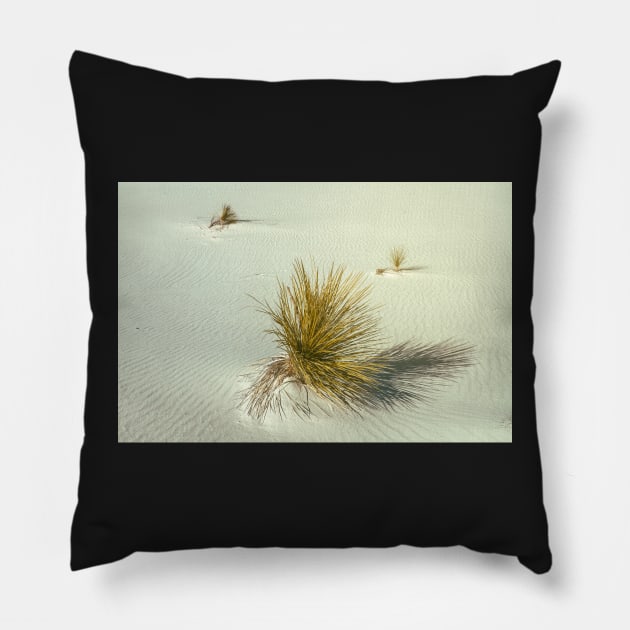 Yucca at White Sand Pillow by jvnimages