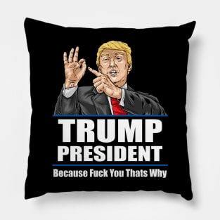 because fuck you thats why Pillow