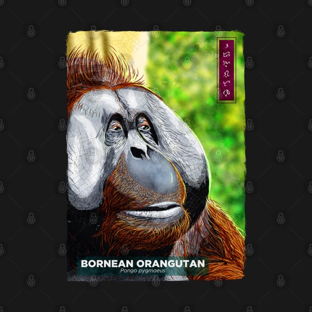 Bornean Orangutan - Black by Thor Reyes