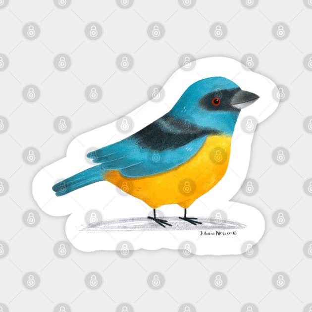 Blue and Yellow Tanager Magnet by julianamotzko