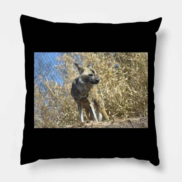 African Wild Dog Pillow by MarieDarcy