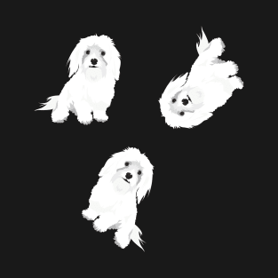 Pattern : Maltese Dogs T-Shirt