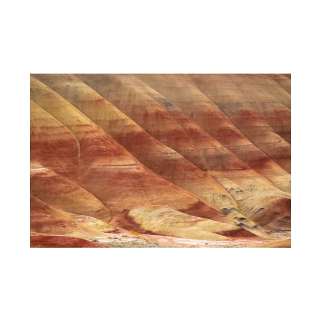 Painted Hills - Up Close And Personal - 3 © by PrinceJohn