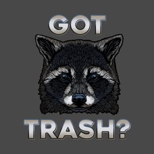 Got Trash? Raccoon begging T-Shirt