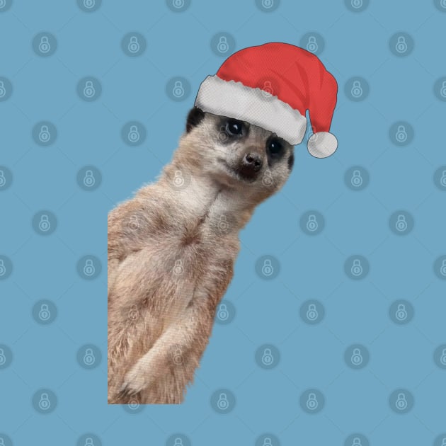 Cute Meerkat in Christmas hat- Peek a boo by Off the Page