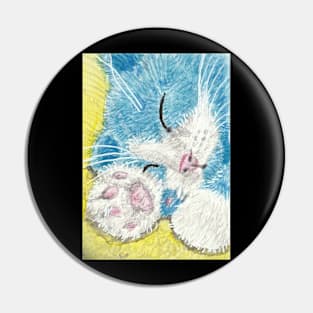 sleeping kitten Pin