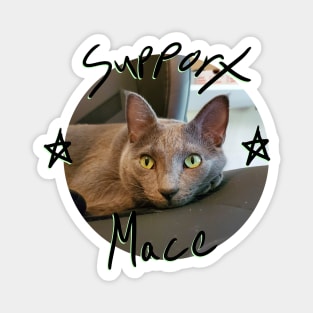 Mace the Cat Magnet