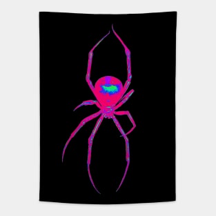 Rainbow Spidey Tapestry