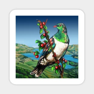 Kereru of Aotearoa, New Zealand Magnet