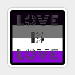 pride flag Magnet