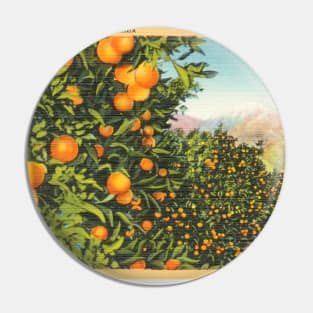 Oranges and Snow in Southern California Postcard Pin