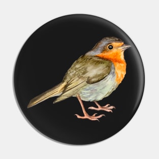 zebra finch bird Pin