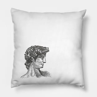 Michelangelo's David Pillow