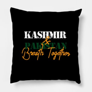 Kashmir Paradise On Earth Save Kashmir Before Making Hell Pillow