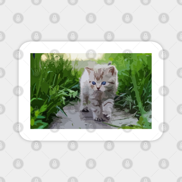 American Shorthair Kitten Digital Painting Magnet by gktb