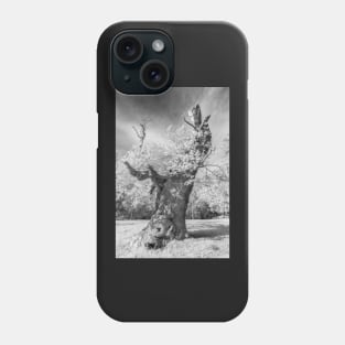 Mono Sandringham #1 Phone Case