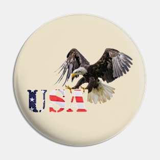 Eagle and Flag Pin