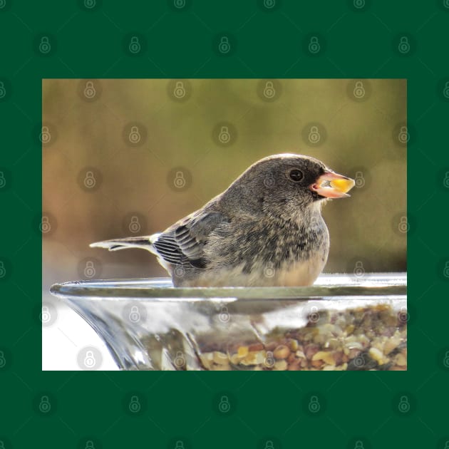 Seeds to Savour No.2 - Dark-Eyed Junco by MaryLinH